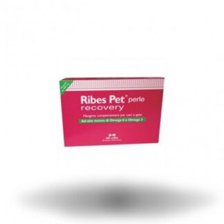 NBF LANES CANE E GATTO RIBES PET RECOVERY DA 60 PERLE