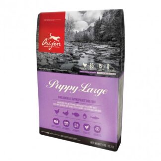 ORIJEN CANE PUPPY LARGE DA 11,4 KG