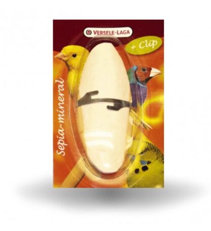OSSI DI SEPPIA 12CM
