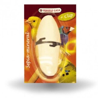 OSSI DI SEPPIA 16CM
