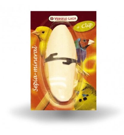 OSSI DI SEPPIA 16CM