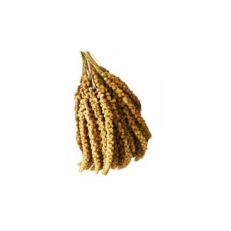 Panico grappoli 1kg prestige