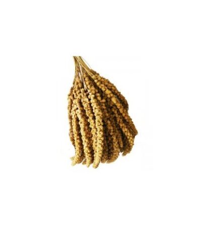Panico grappoli 1kg prestige