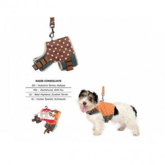 PETT+GUIN DENIM/POIS MARRONE LG