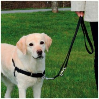 Pettorina addestramento easy walk professional misura xl