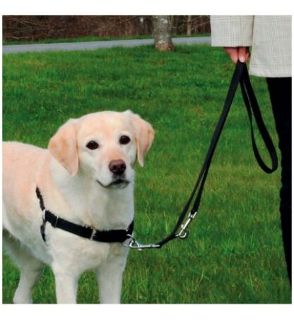 Pettorina addestramento easy walk professional misura xl