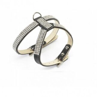 PETTORINA C/STRASS NERO TG 4 XL