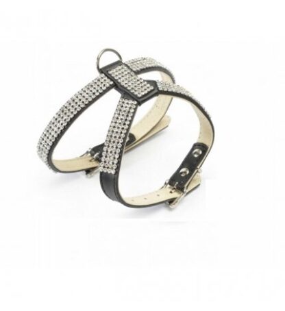 PETTORINA C/STRASS TG MEDIA NERO