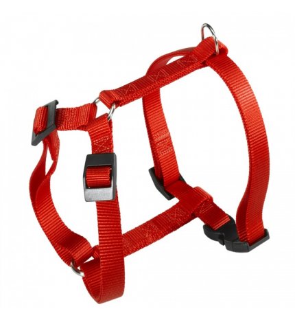 PETTORINA CHAMPION P M ROSSO