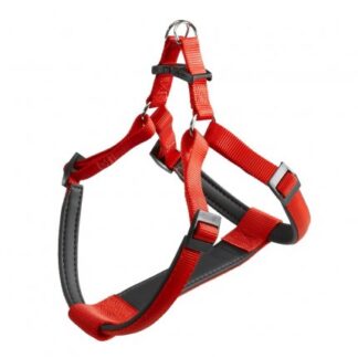 PETTORINA DAYTONA P MEDIUM ROSSA