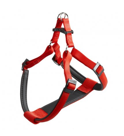 PETTORINA DAYTONA P MEDIUM ROSSA
