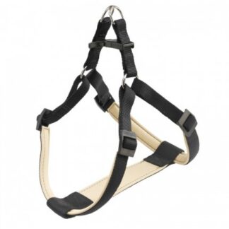 PETTORINA DAYTONA P SMALL NERA