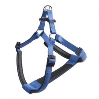 PETTORINA DAYTONA P XLARGE BLU