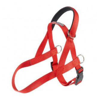 PETTORINA EASY NORDIC 2 ROSSO