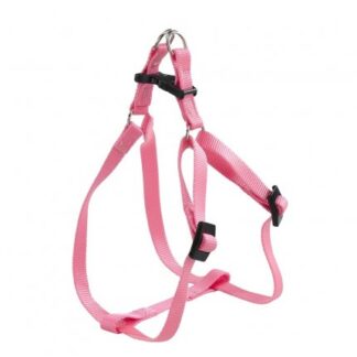 PETTORINA EASY P MEDIUM ROSA