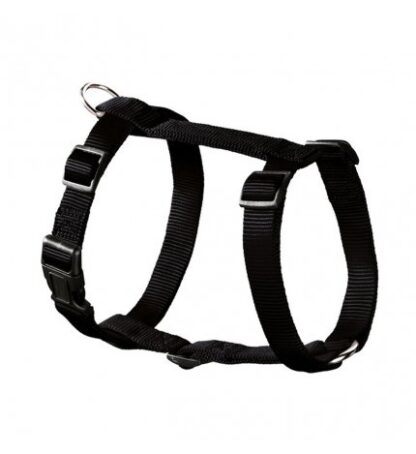 Pettorina ecco sport rapid m/20