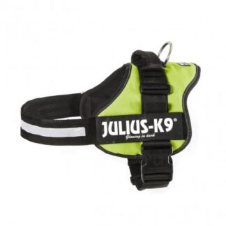 Pettorina julius-k9 l 66-85cm/50mm giallo