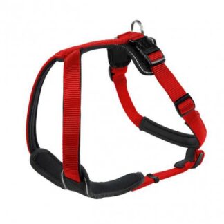 Pettorina neopren xl 73-94cm/25mm rosso
