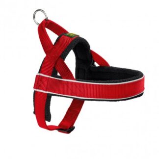 Pettorina norwegian racing l rosso