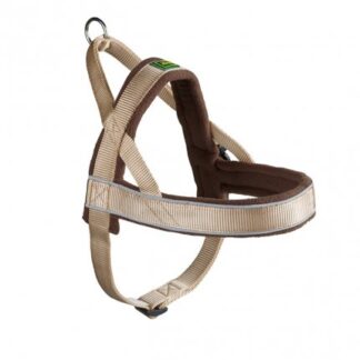 Pettorina norwegian racing s