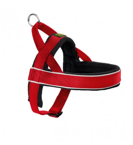 Pettorina norwegian racing xxl rosso