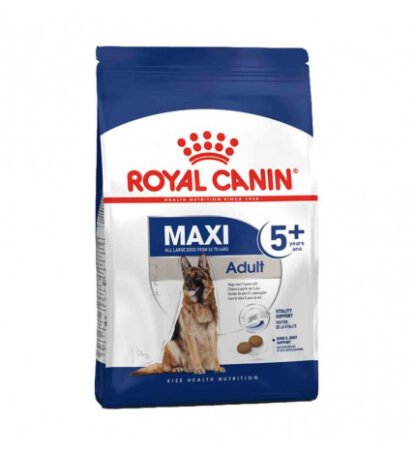 Royal canin cane adult maxi 5 + da 15 kg