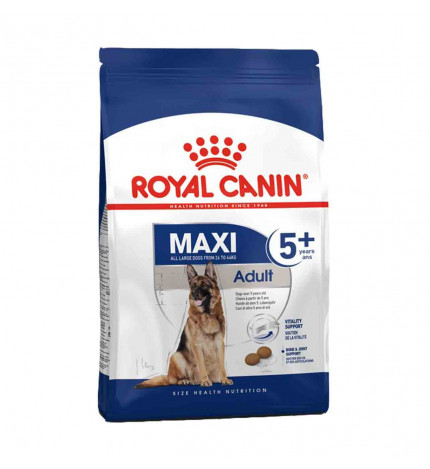 Royal canin cane adult maxi 5 + da 15 kg
