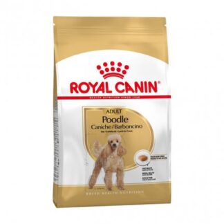 ROYAL CANIN CANE BREED BARBONCINO ADULT DA 500 GR
