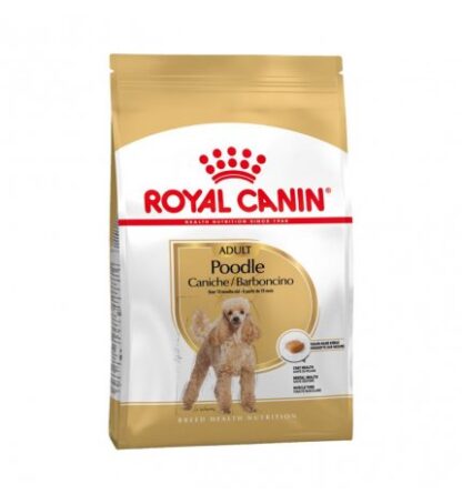 ROYAL CANIN CANE BREED BARBONCINO ADULT DA 500 GR