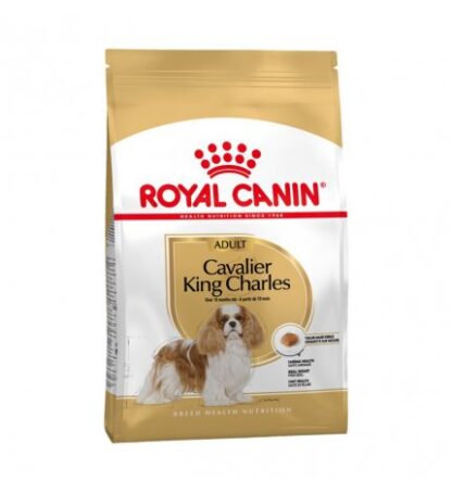 ROYAL CANIN CANE BREED CAVALIER KING ADULT DA 1,5 KG