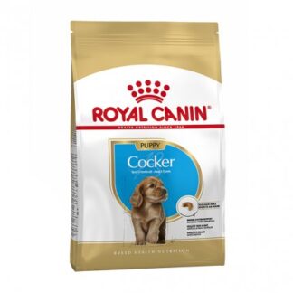 ROYAL CANIN CANE BREED COCKER JUNIOR DA 3 KG