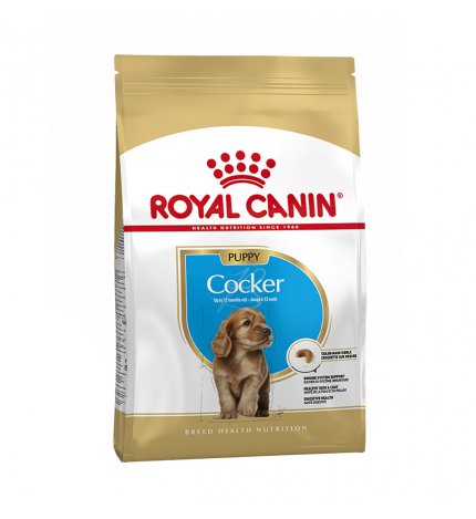 ROYAL CANIN CANE BREED COCKER JUNIOR DA 3 KG