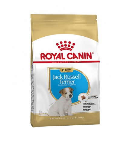 ROYAL CANIN CANE BREED JACK RUSSEL JUNIOR DA 500 GR