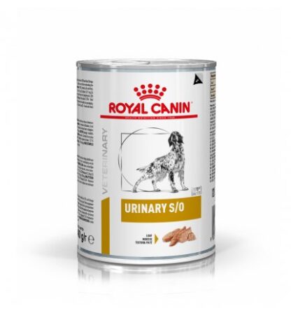 ROYAL CANIN CANE DIET URINARY S/O DA 410 GR IN LATTINA