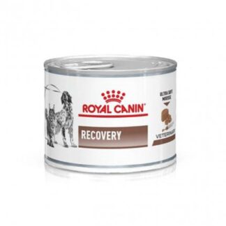 ROYAL CANIN CANE E GATTO DIET RECOVERY DA 195 GR IN LATTINA