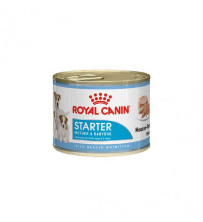 ROYAL CANIN CANE STARTER MOUSSE DA 195 GR IN LATTINA