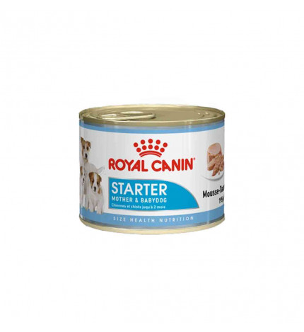 ROYAL CANIN CANE STARTER MOUSSE DA 195 GR IN LATTINA