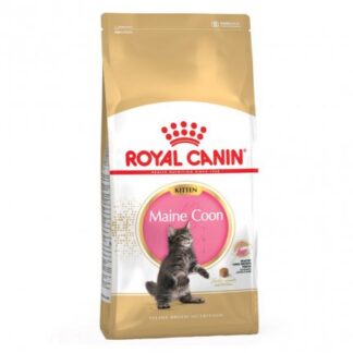 ROYAL CANIN GATTO BREED MAINE COON KITTEN DA 2 KG