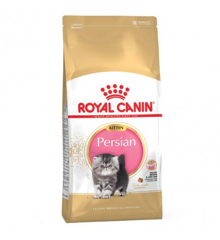 ROYAL CANIN GATTO BREED PERSIAN KITTEN DA 10 KG