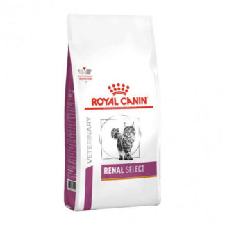 ROYAL CANIN GATTO DIET RENAL SELECT DA 2 KG