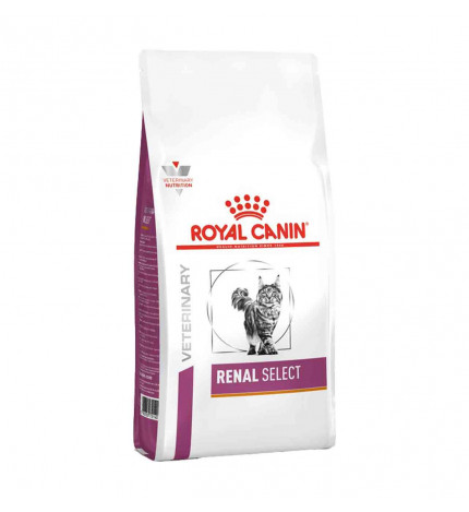 ROYAL CANIN GATTO DIET RENAL SELECT DA 2 KG