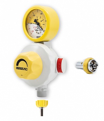 Regolatore di vuoto EasyVac - 250 con Innesto Afnor