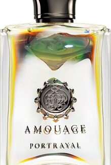 AmouagePortrayal Eau de Parfum per uomo100 ml