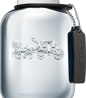 CoachPlatinum Eau de Parfum per uomo100 ml