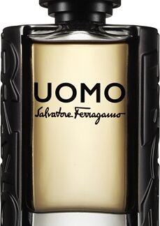 FerragamoUomo Eau de Toilette per uomo100 ml
