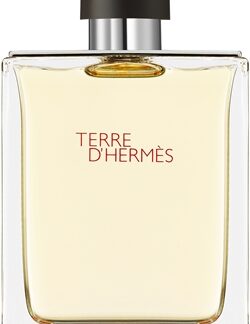 HERMÈSTerre d’Hermès Eau de Toilette per uomo100 ml