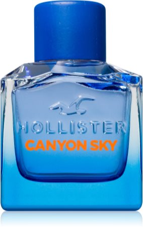 HollisterCanyon Sky For Him Eau de Toilette per uomo100 ml