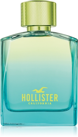 HollisterWave 2 Eau de Toilette per uomo100 ml