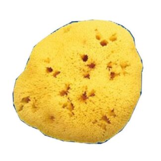FARMACARE Spugna Naturale Fori L 10/11 cm 7