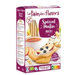 TOSTADA MUESLI SPECIAL MATIN 230 gr BIO